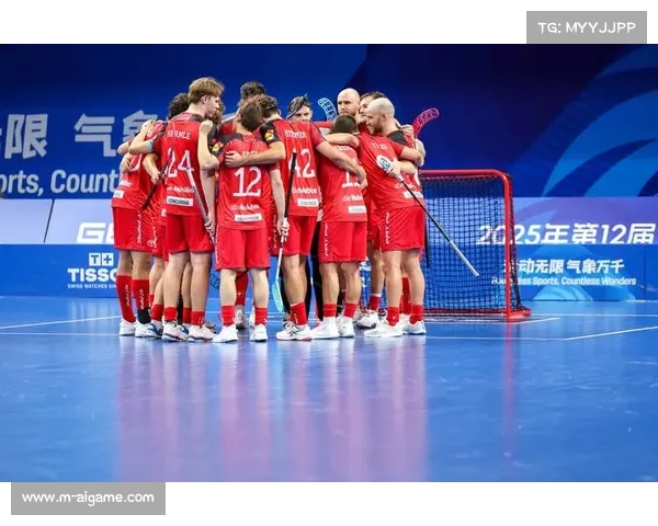 成都世运会捷克队7比2大胜瑞士勇夺软式曲棍球男子铜牌