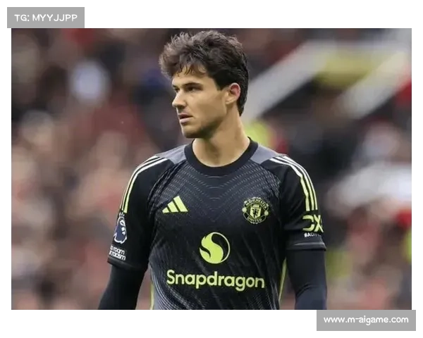 桑德兰1-0客胜富勒姆，扎卡助攻希门尼斯绝杀